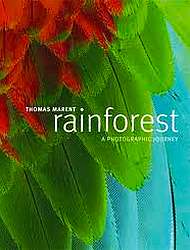 Libro di macrofotografia,, fotografia macro, recensione, rainforest, thomas marent
